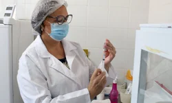 Feriado tem quatro mortes por covid-19