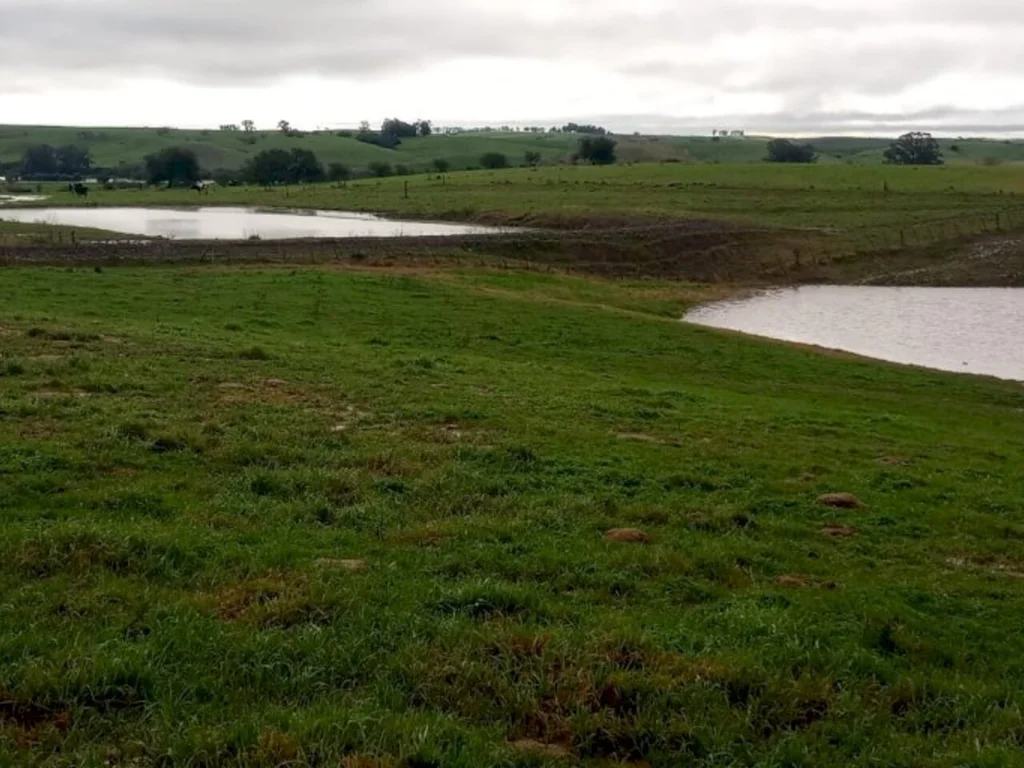 Excesso de chuva prejudica agricultura familiar