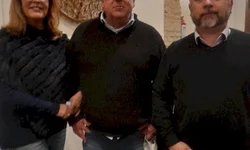 TSE tem 83 pedidos de formação de partidos