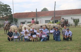 Avaliações revelam potencial genético da raça Charolês