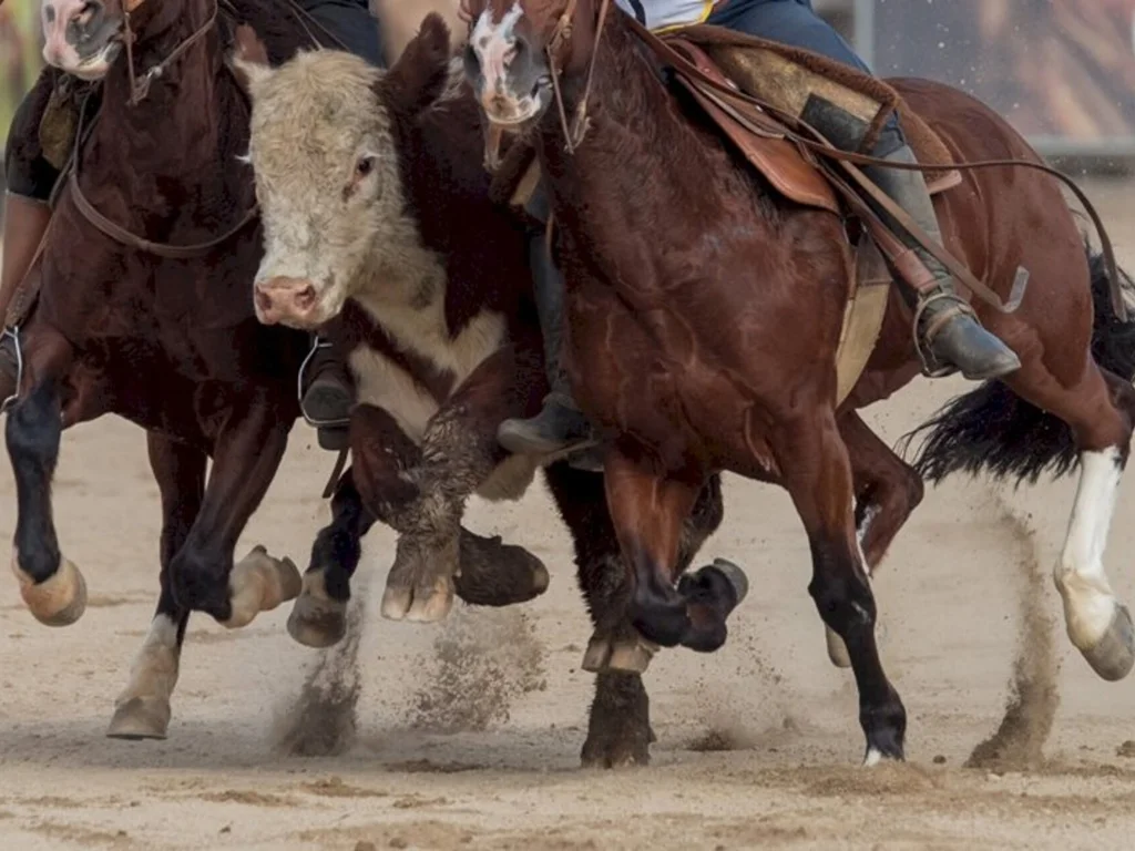 Lideranças de Bagé avaliam realização da Expointer