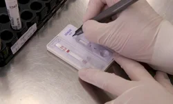 Comércio deve ter crescimento de 5% a 10% nas vendas