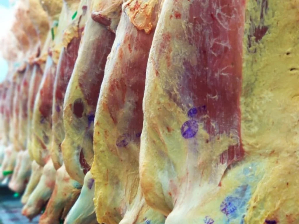 Inscrições para concurso  encerram neste sábado