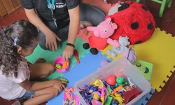 Dia da Lã tem debate sobre mercado e possibilidades