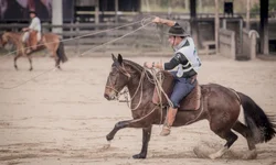 Finais do Cavalo Crioulo valorizam o trabalho dos domadores