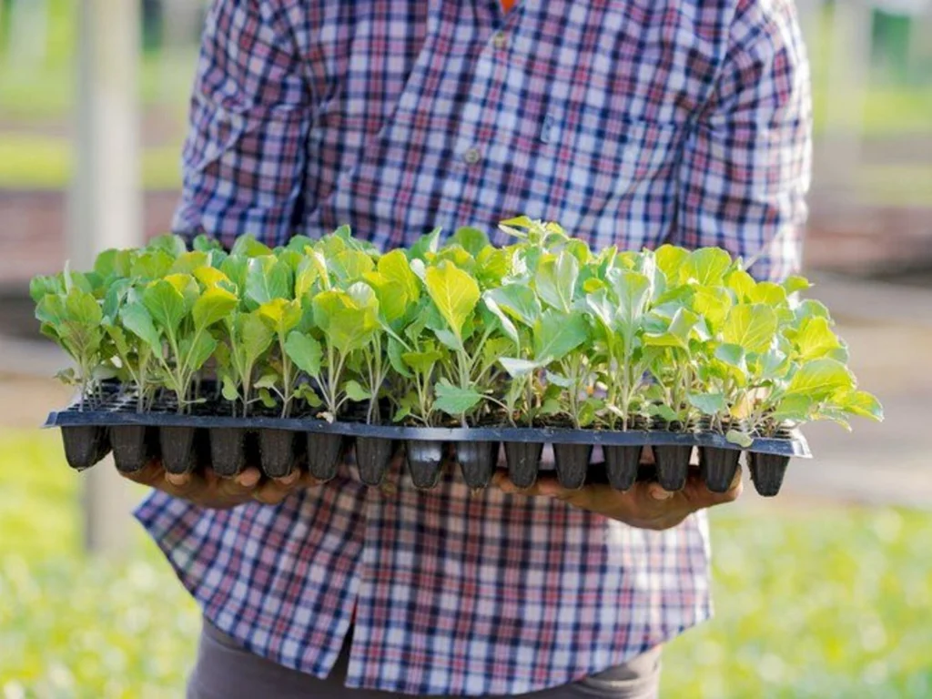 Cadastro para agricultores é atualizado