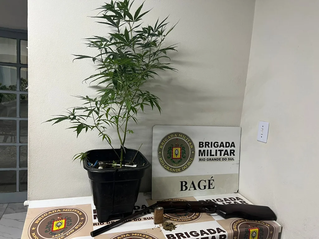 Homem é preso com pé de maconha e arma