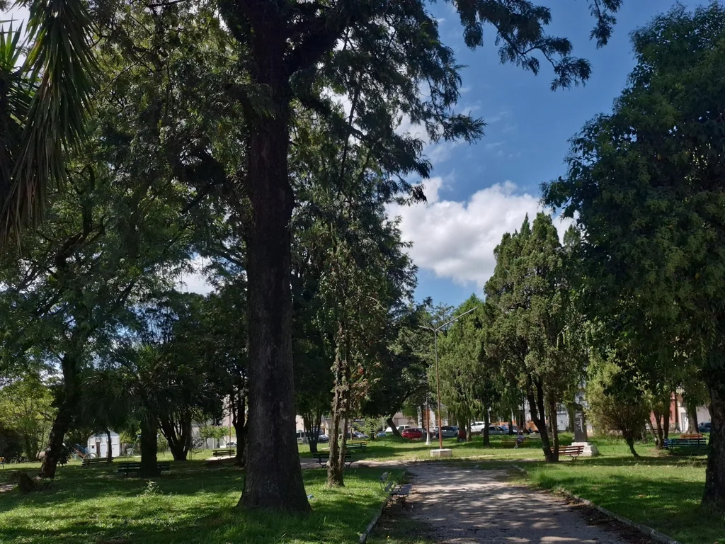 Integração e sustentabilidade marcam Semana do Meio Ambiente