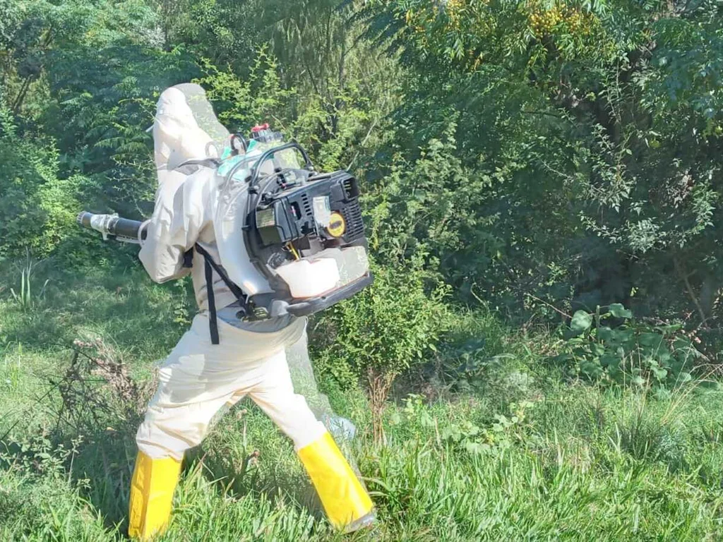 Vigilância detalha ação após confirmação de caso de dengue