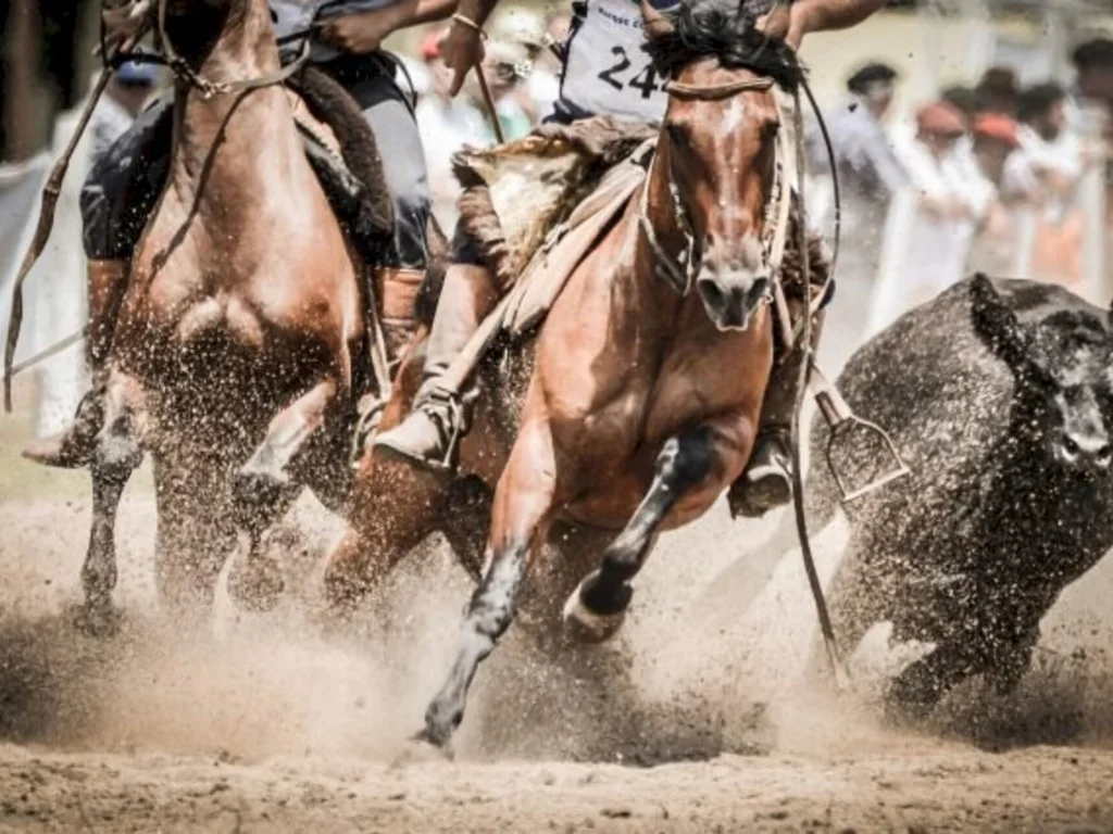 Freio de Ouro irá apontar campeões esta semana