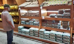 Últimos dias de fevereiro terão nova onda de calor