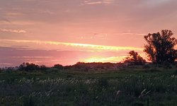 Verão inicia com calor e chuvas irregulares na Campanha