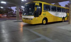 Mulheres encaram assado de cordeiro inteiro