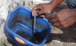 Bagé confirma primeiro caso de dengue do ano