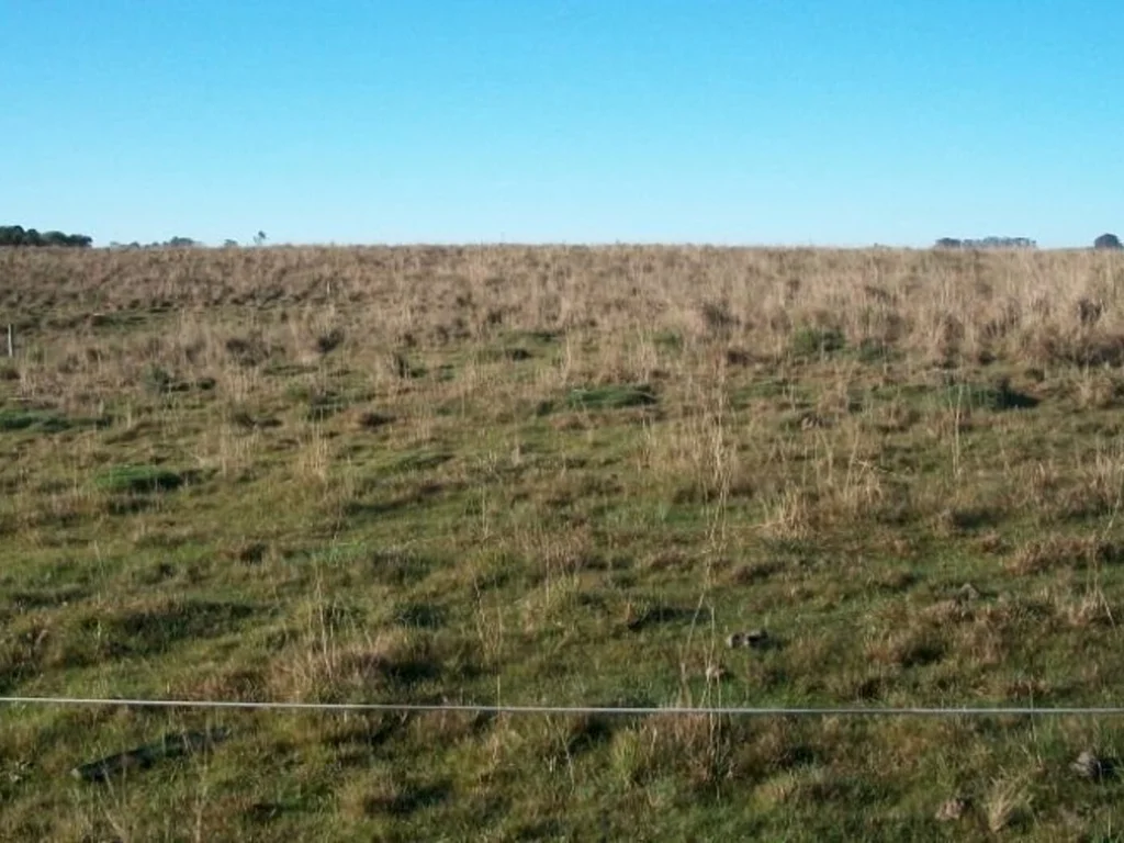 Produtores planejam safra de verão