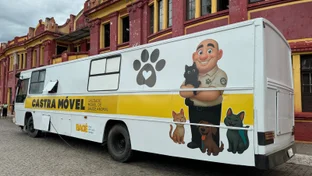 Mais de dois mil animais foram castrados