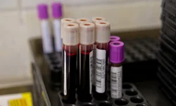 Doação de sangue bate meta de 100 cadastros