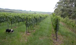 Assentamentos recebem recursos do Crédito Instalação