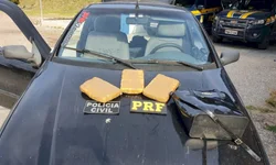 PDT quer eternizar Darcy Ribeiro no Panteão da Pátria