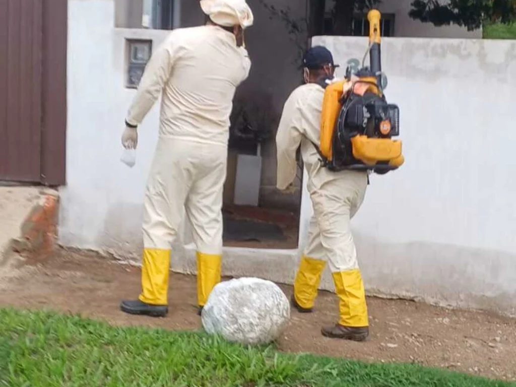 Bagé registra cinco casos confirmados de dengue