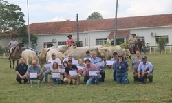 Avaliações revelam potencial genético da raça Charolês