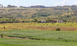 Estado reforça ações de combate a violência contra mulher
