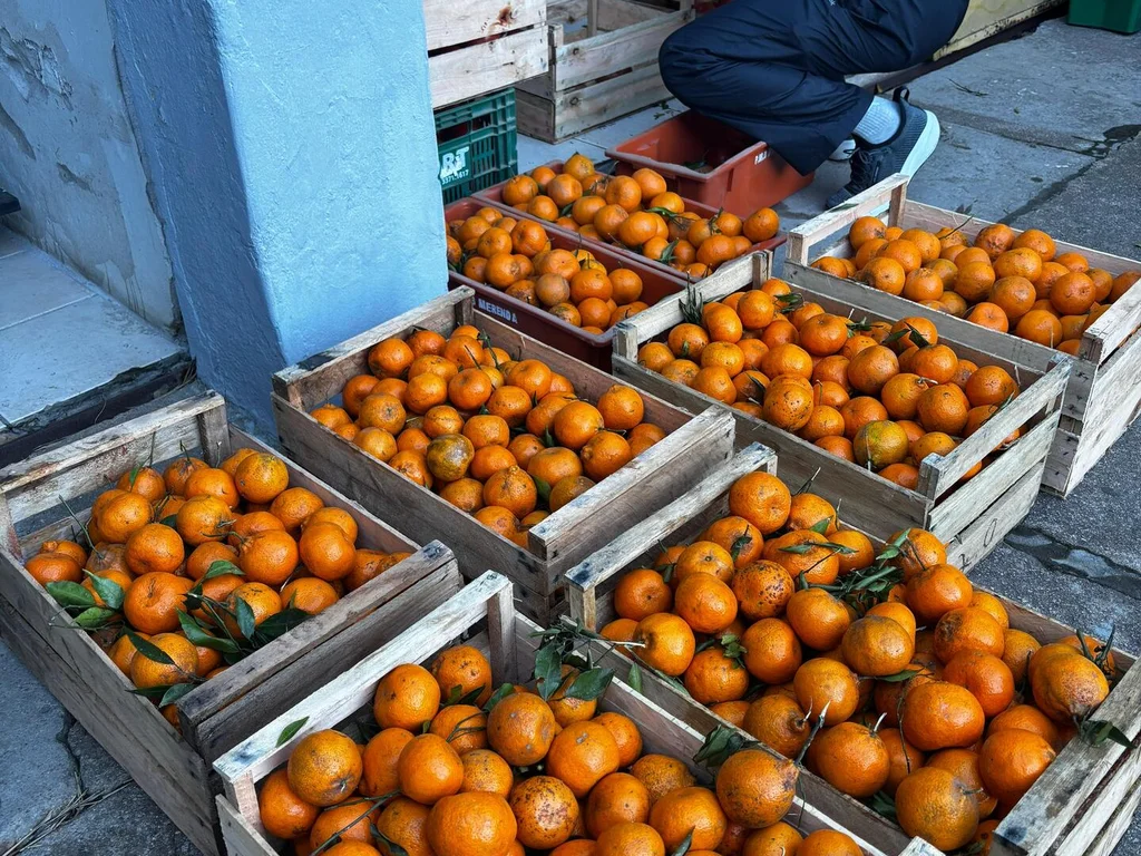 Doação de alimentos