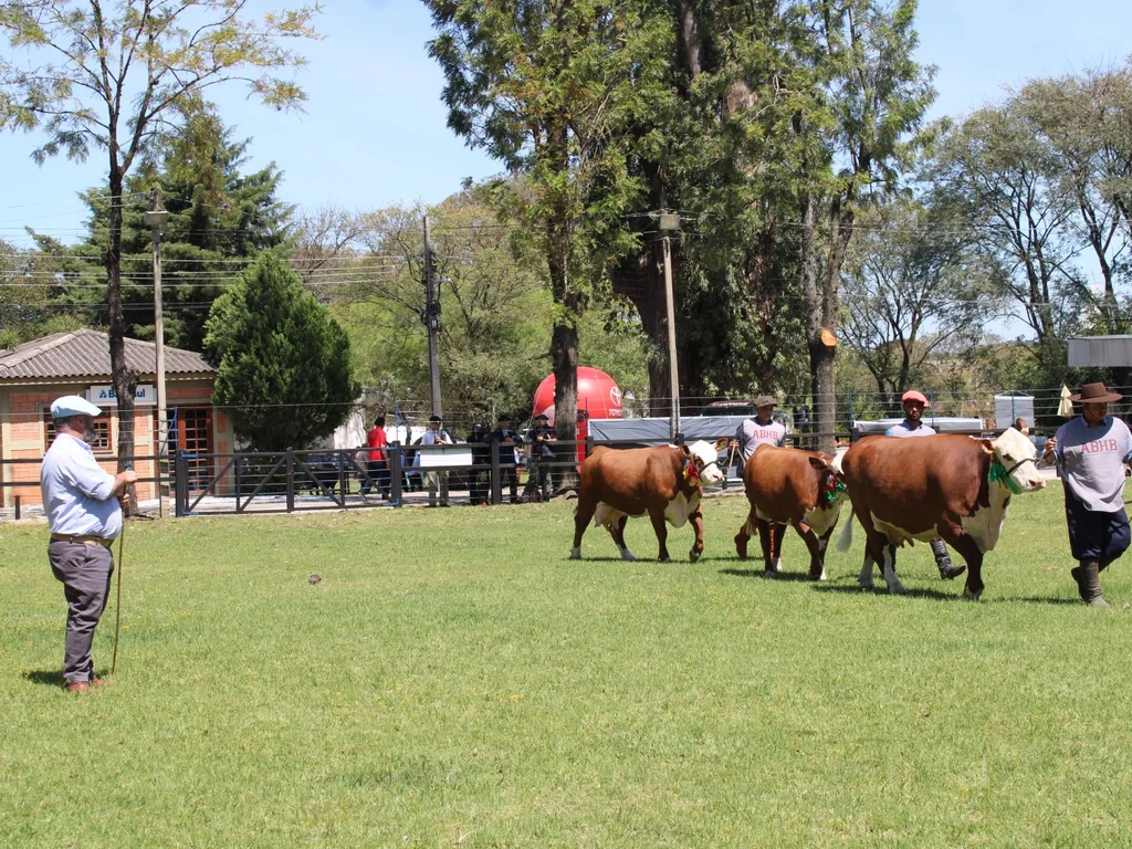 Bagé é destaque no calendário oficial de feiras agropecuárias