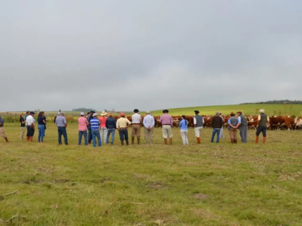 Bagé irá sediar etapa de atualização de inspetores técnicos