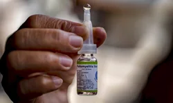 Galeria Edmundo Rodrigues terá exposições simultâneas