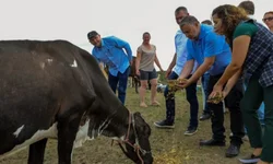 Obra RSC-473 é da morosidade e de controvérsias