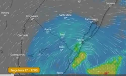 Educação domiciliar pode se tornar realidade