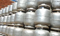 Ana Amélia se filia ao PSD