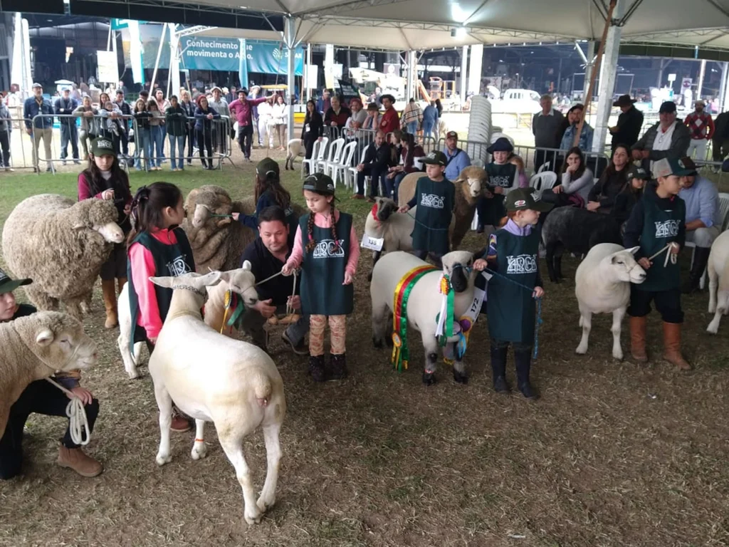 Ovinocultura terá foco em jovens e promoção da carne