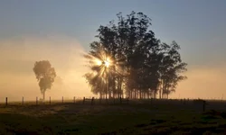 Voluntários se mobilizam para ajudar quem mais precisa