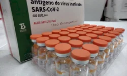 Bagé irá receber cinco mil cestas básicas