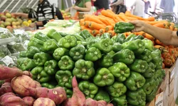 Segunda edição do Pampa Summit ocorrerá em Bagé