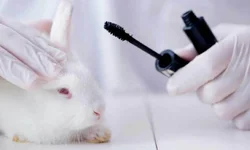 Março tem conjunção de planetas e Equinócio