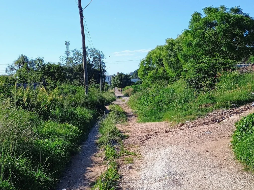 Condições da ciclovia preocupam pedestres e ciclistas