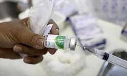 Estado recebe 356 mil doses da vacina contra a gripe