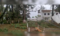 Queda de granizo na região mata 50 pássaros