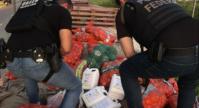 Quatro são presos com mais de uma tonelada de defensivos