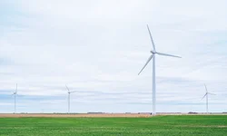 Mainardi saúda os 63 anos do Movimento da Legalidade