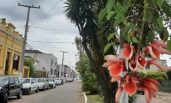 Verão começa sob influência do fenômeno La Niña