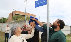 Leilão de veículos