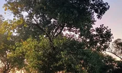 Daeb decide manter racionamento em 12 horas