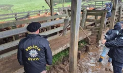 Decrabs ampliam atuação e reduzem crimes rurais