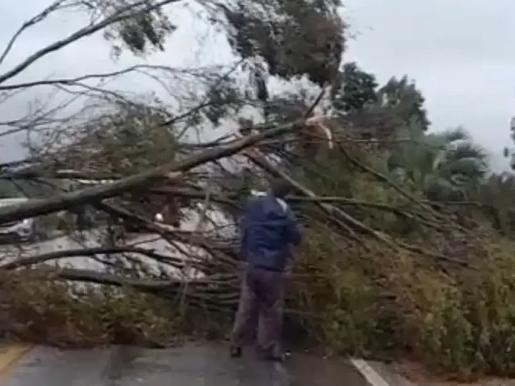 Provável tornado causa destruição no extremo Sul