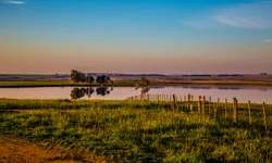 Retomada das castrações pelo município ainda não tem data definida