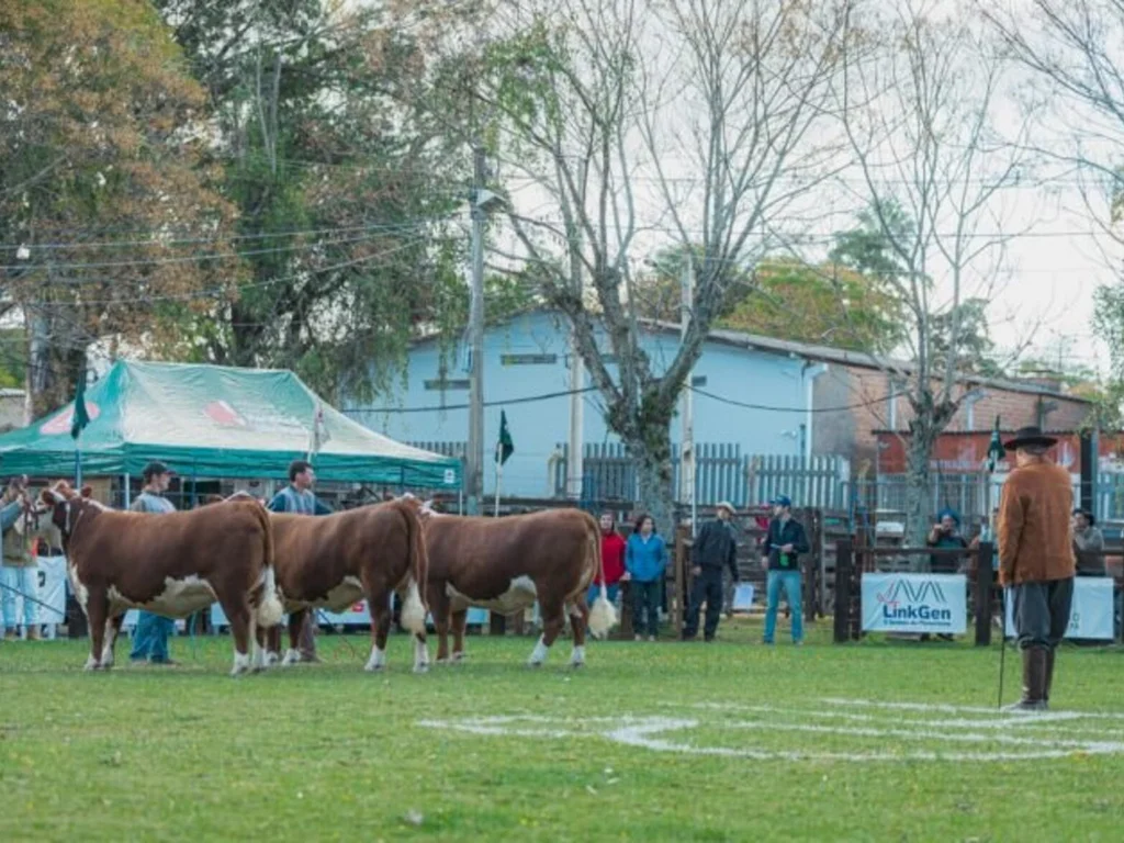 Bagé foi palco de maior exposição nacional